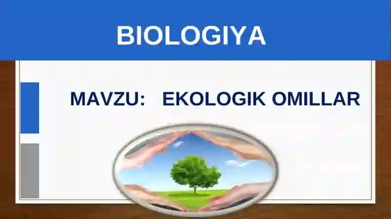 EKOLOGIK OMILLAR 2