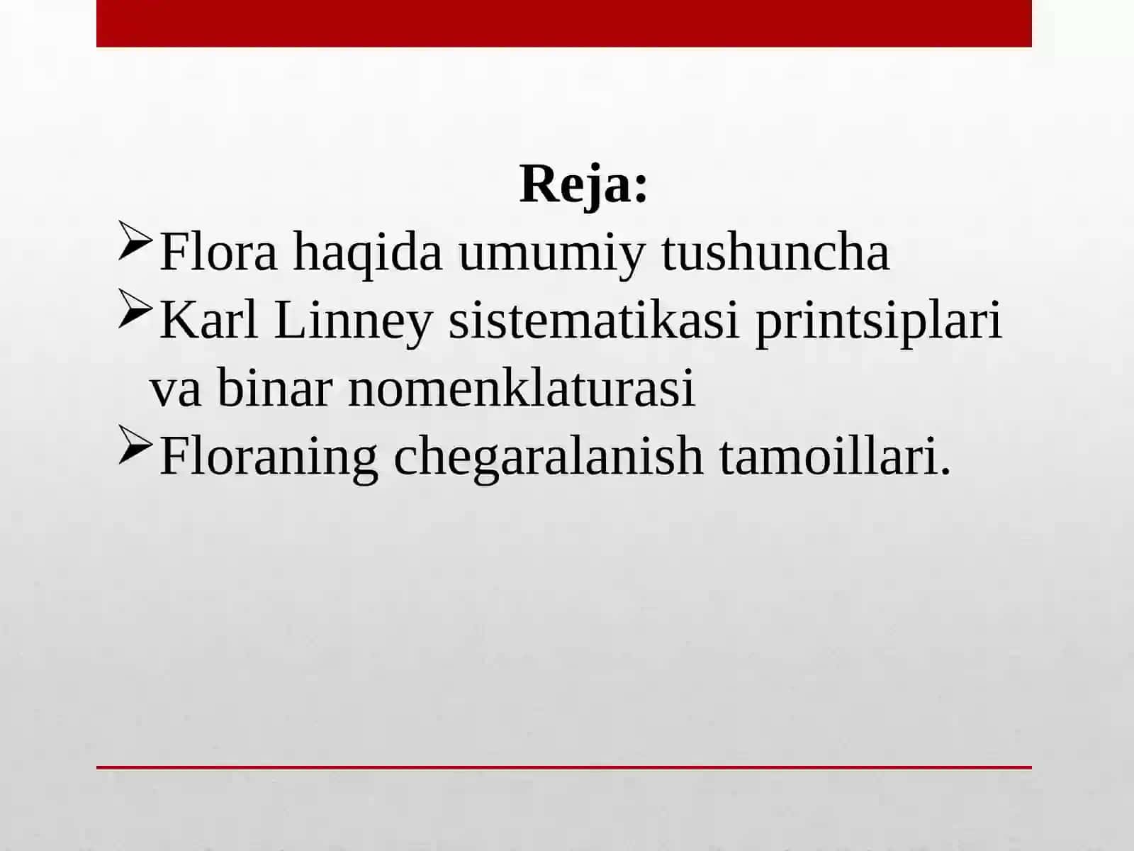 O‘simliklar florasi 2