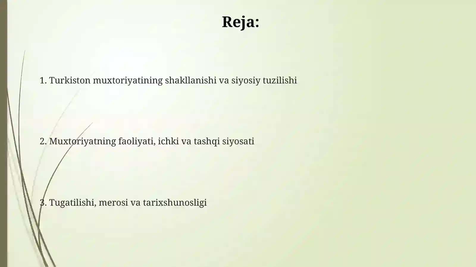 Turkiston muxtoriyati va uning faoliyati 2
