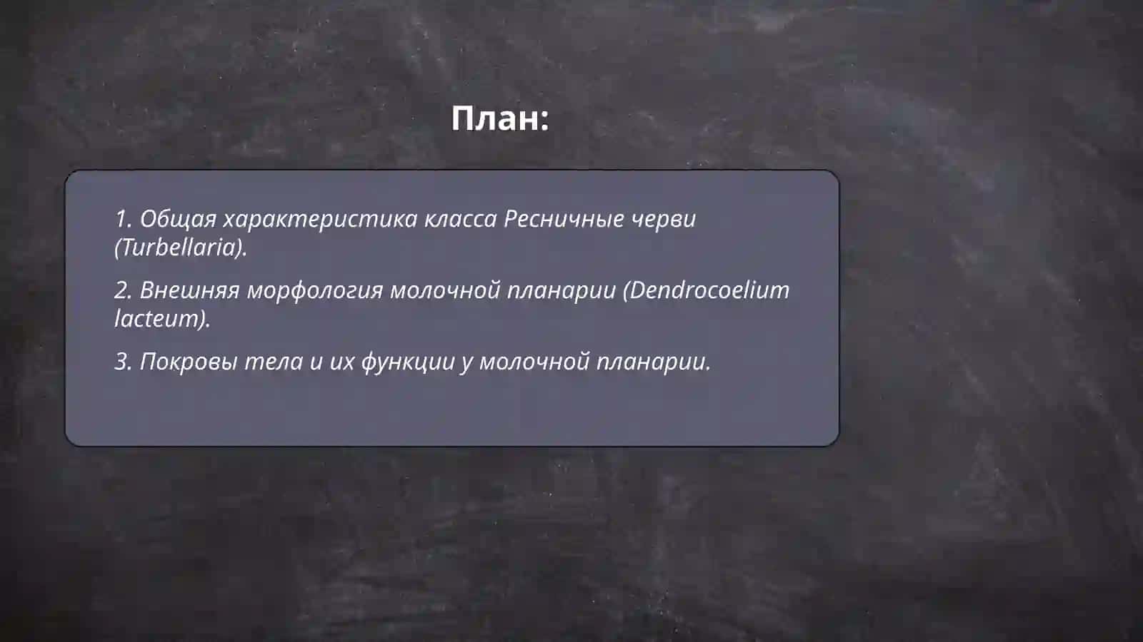 Молочная планария (Dendrocoelium lacteum) 2