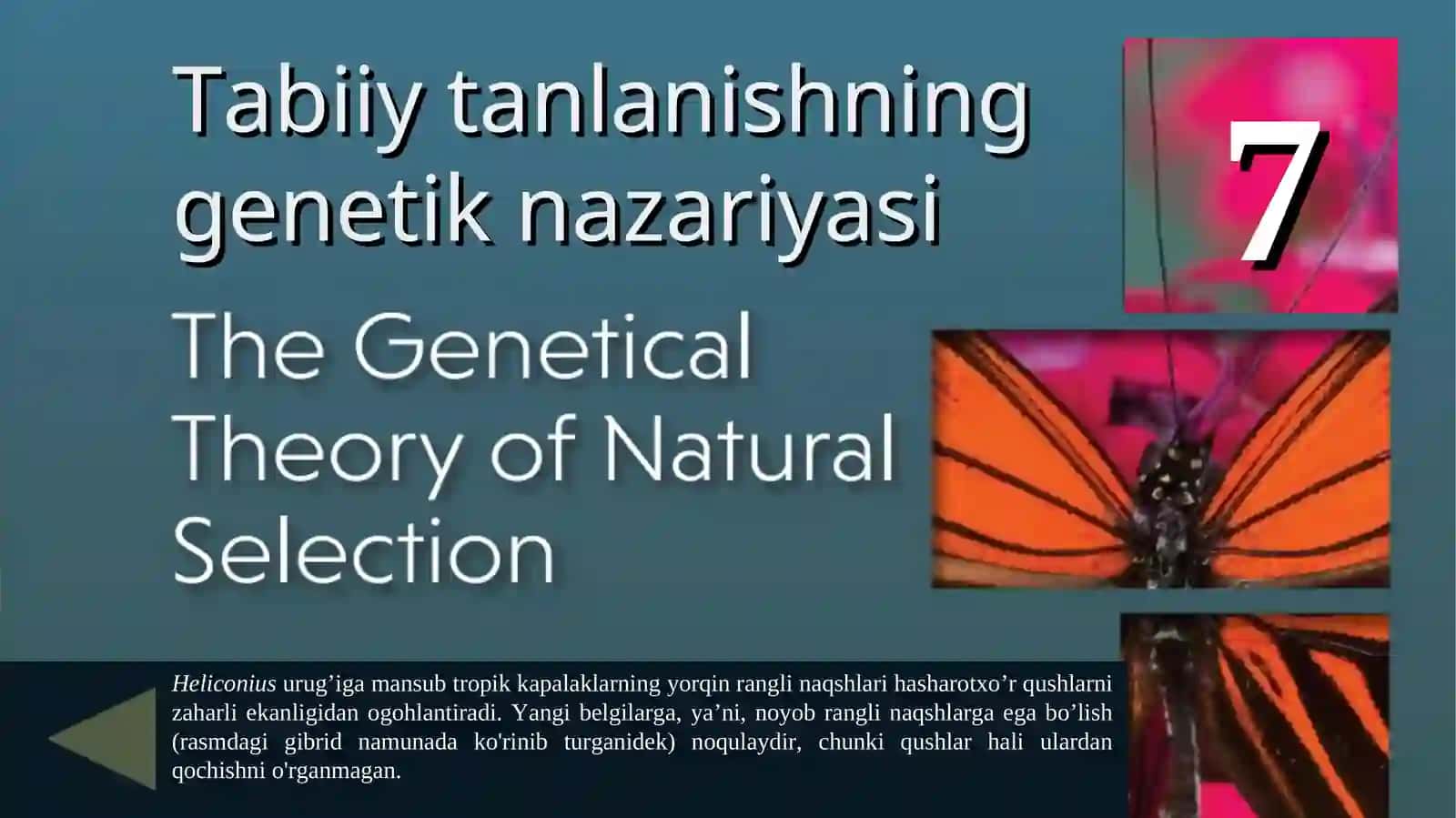 Tabiiy tanlanishning genetik nazariyasi 2