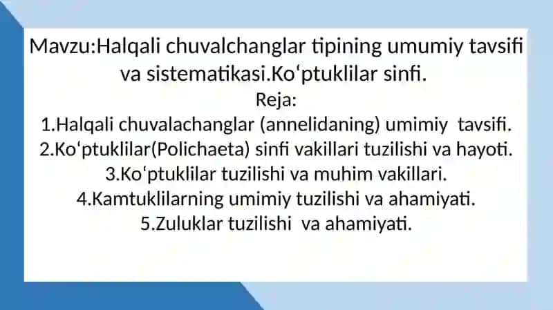Halqali chuvalchanglar (AppePya) 2