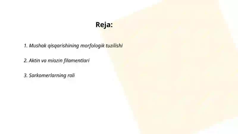 Mushak qisqarish mexanizmining morfologik asoslari 2
