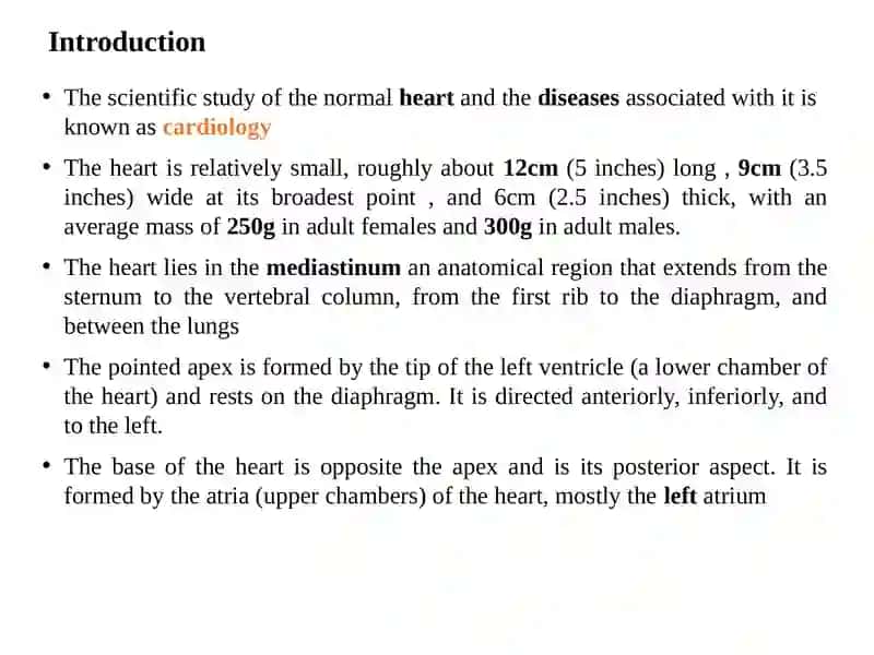 Cardiovascular system 2