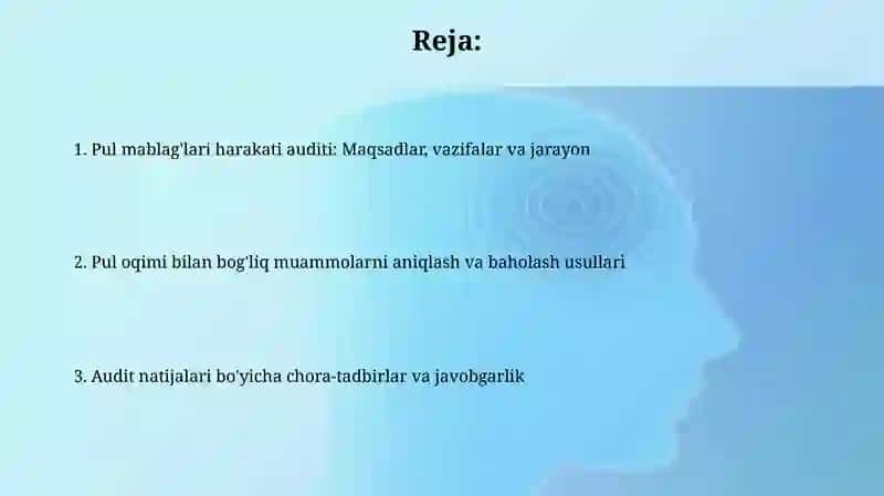 Pul Mablag'larixarakatib-nbogʻliqMuammo/Auditinitashetishvao'tkazishtartibi 2