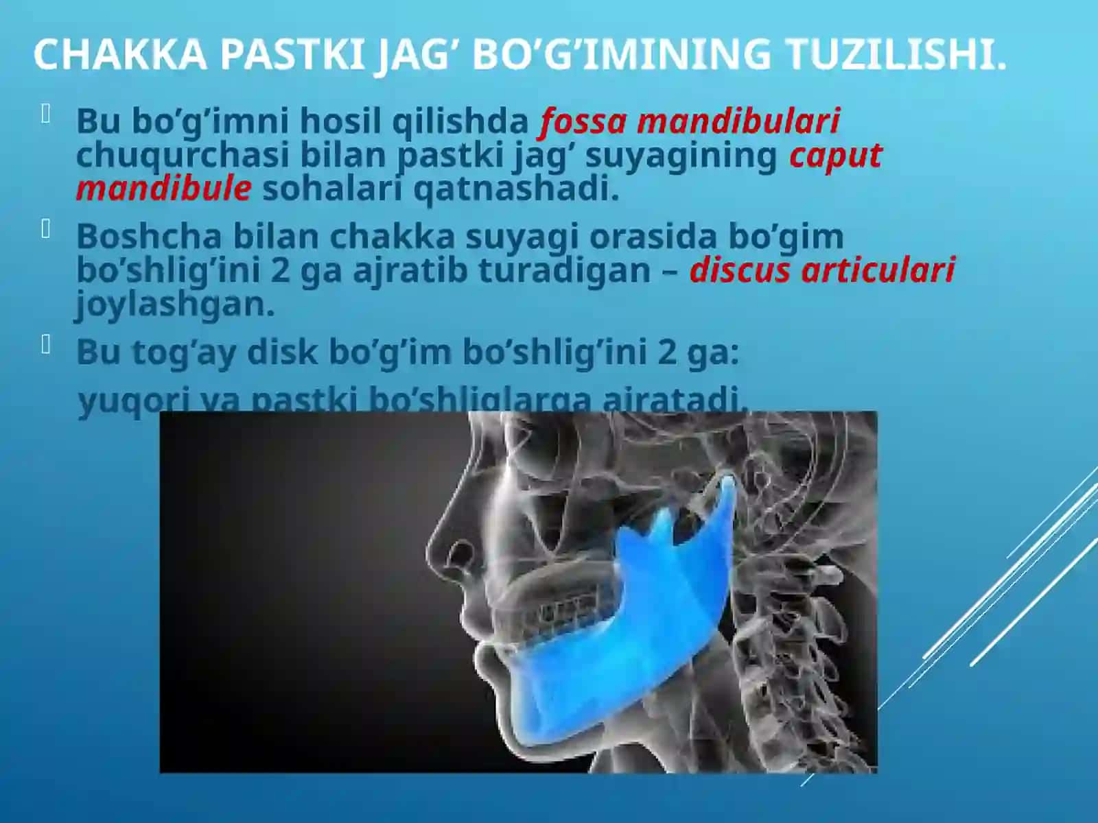 Chakka pastki jag’ bo’g’imining (ChPJB) tuzilish xususiyatlari 2