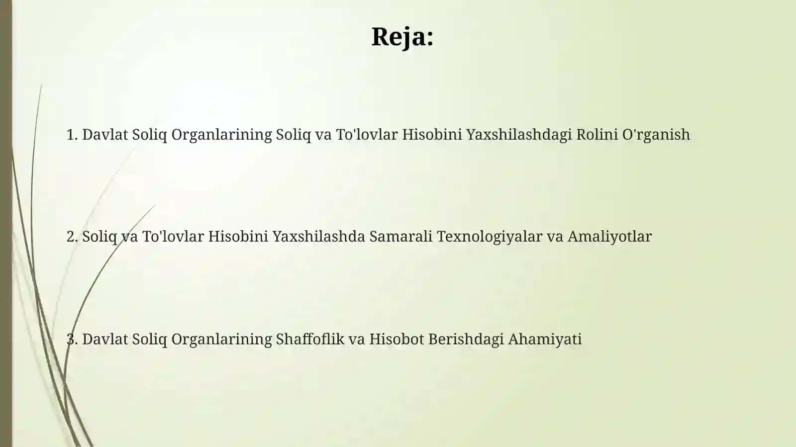 Davlat Soliq Organlarining Soliq va To'lovlar Hisobini Yaxshilashdagi Rolini O'rganish 2