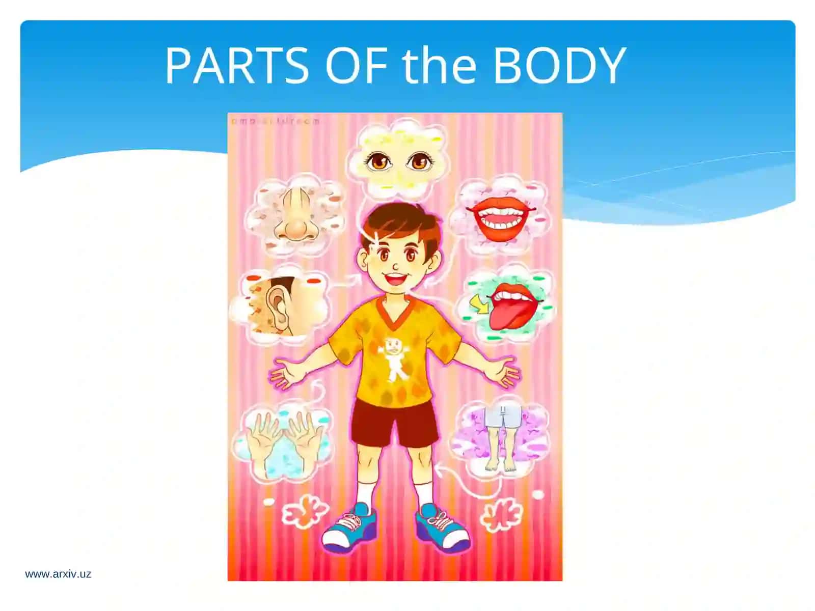 PARTS OF the BODY 2
