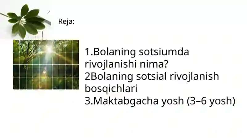 Bolaning sotsiumda rivojlanishi 2