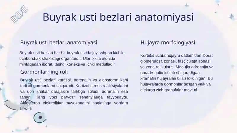 Buyrak usti bezlari 2