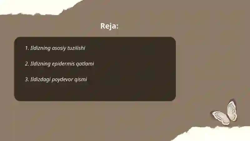 Ildizning tuzilishi, kelib chiqishi va vazifasi 2