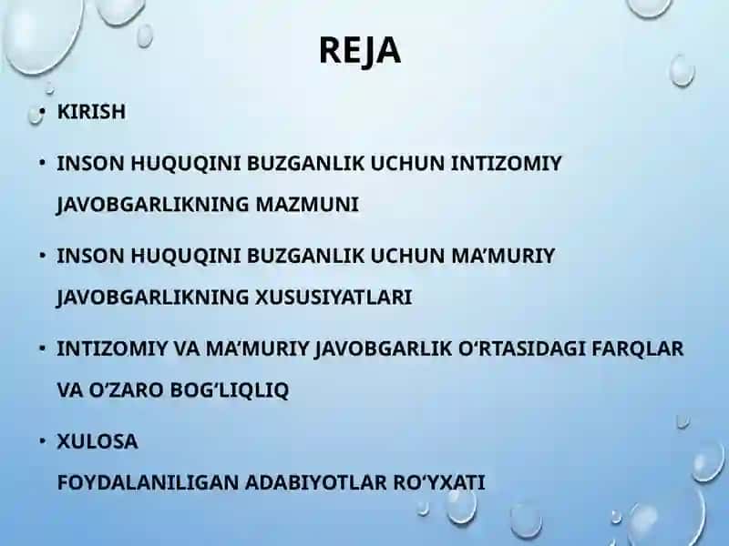 Inson Huquqini Buzganlik Uchun Intizomiy Javobgarlik 2