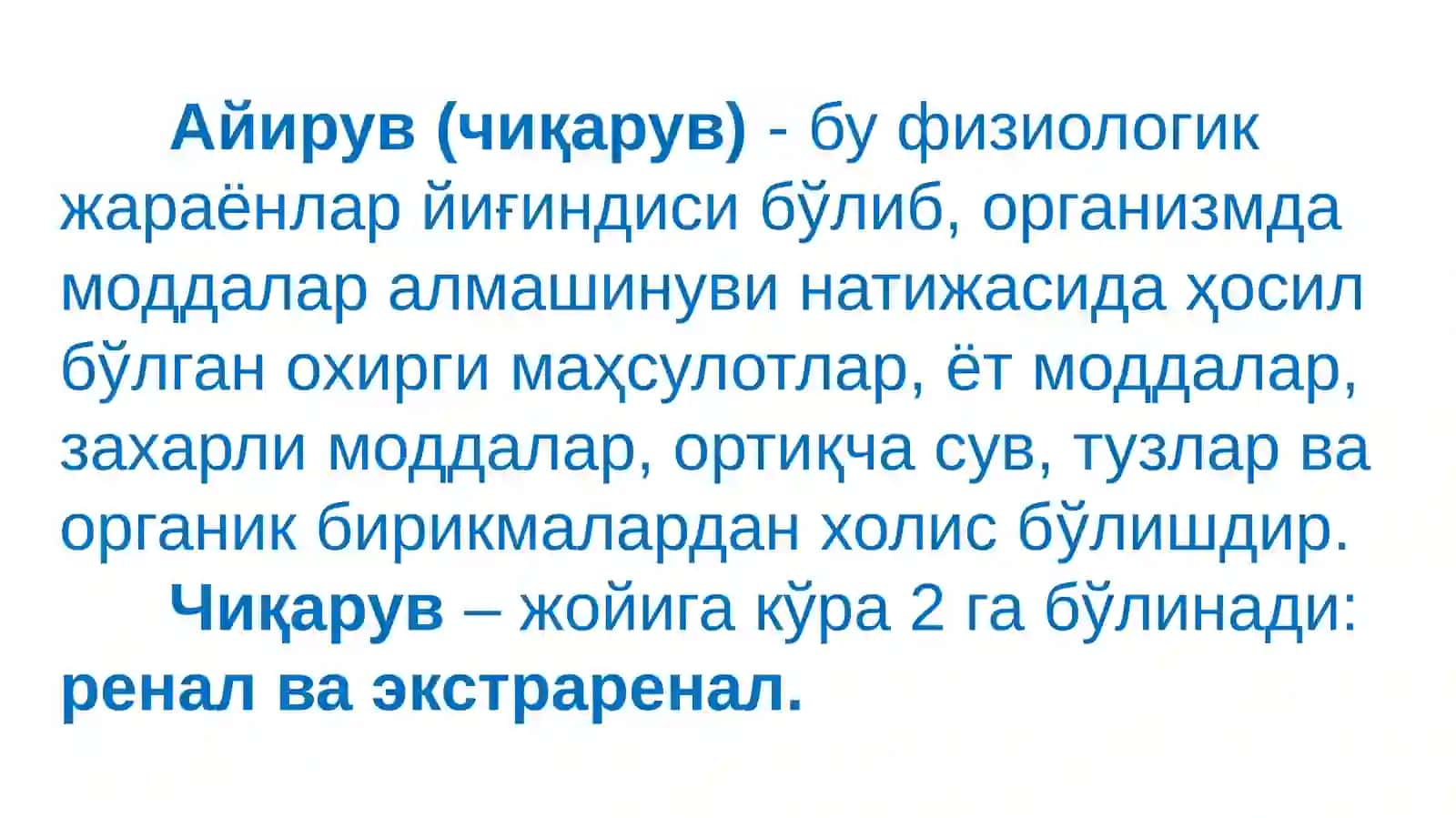 Айирув тизими. Буйракнинг тузилиши ва физиологияси 2