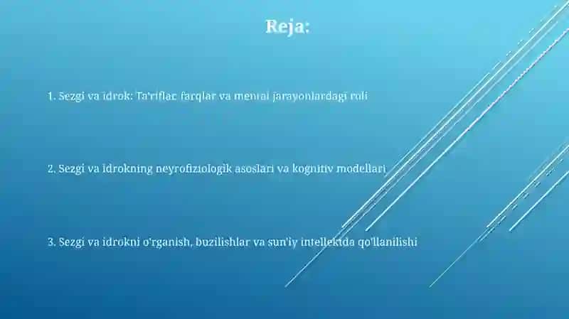 Sezgi va idrok 2