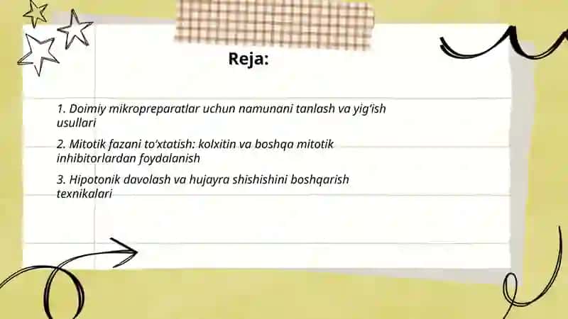 Xromasomalar tarkibi va tuzilishini doimiy mikropereparatlar yordamida o'rganish 2