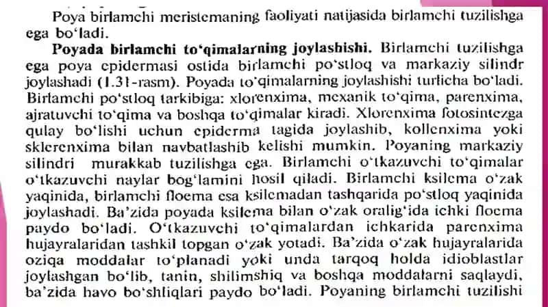 Poyaning tuzlishi. Ko’p yillik o’simliklar poyasining himoyalanishida peridermaning ahamiyati. 2