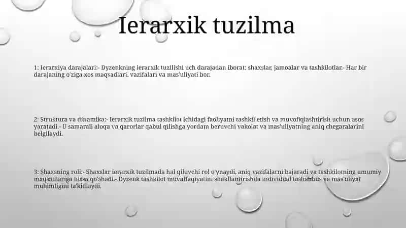 Shaxsning Ierarxik Modeli. L. Yu. Dyzenk 2
