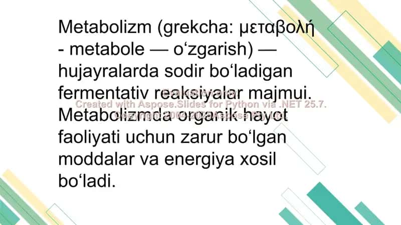 Metabolizm 2