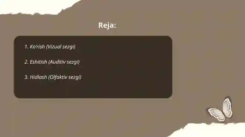 Sezgi turlari 2