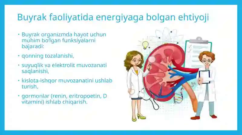 Buyrakning energiya bilan taminlanishining asosiy yollari 2