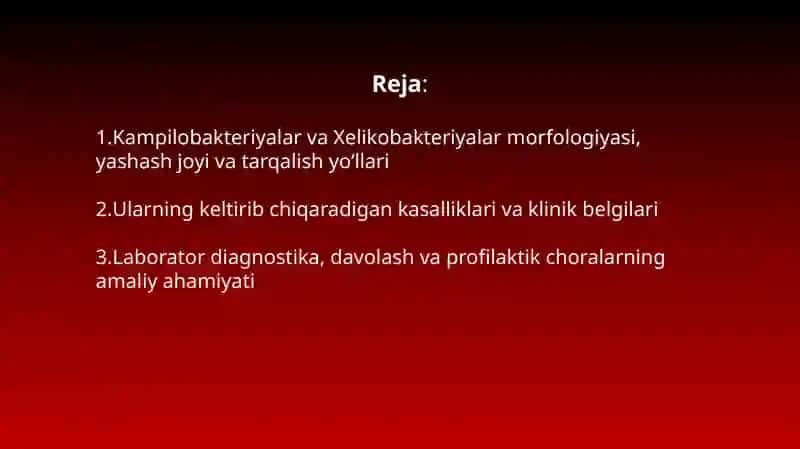 Kampilobakteriyalar va Xelikobakteriyalar 2