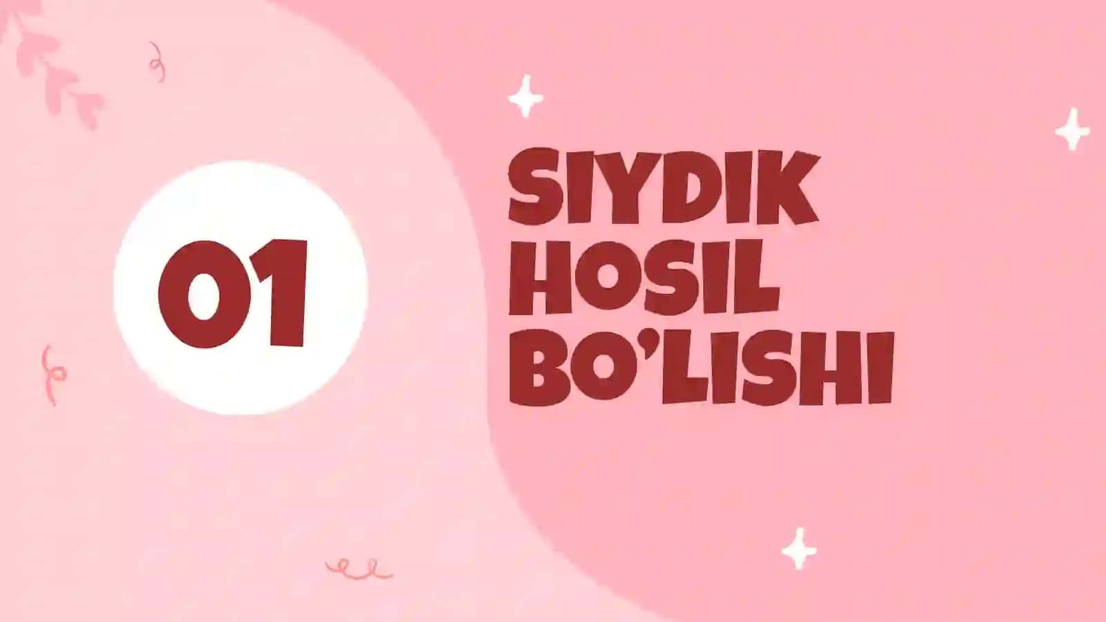 Buyrak biokimyosi (siydik hosil boʻlishi) 2
