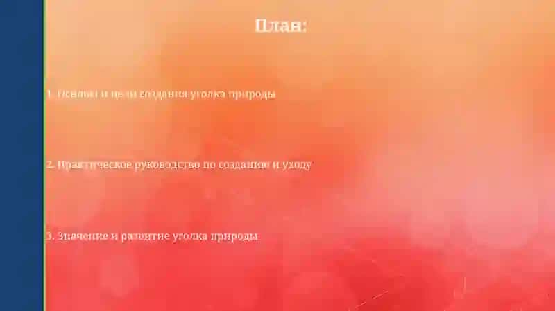 Уголок природы 2