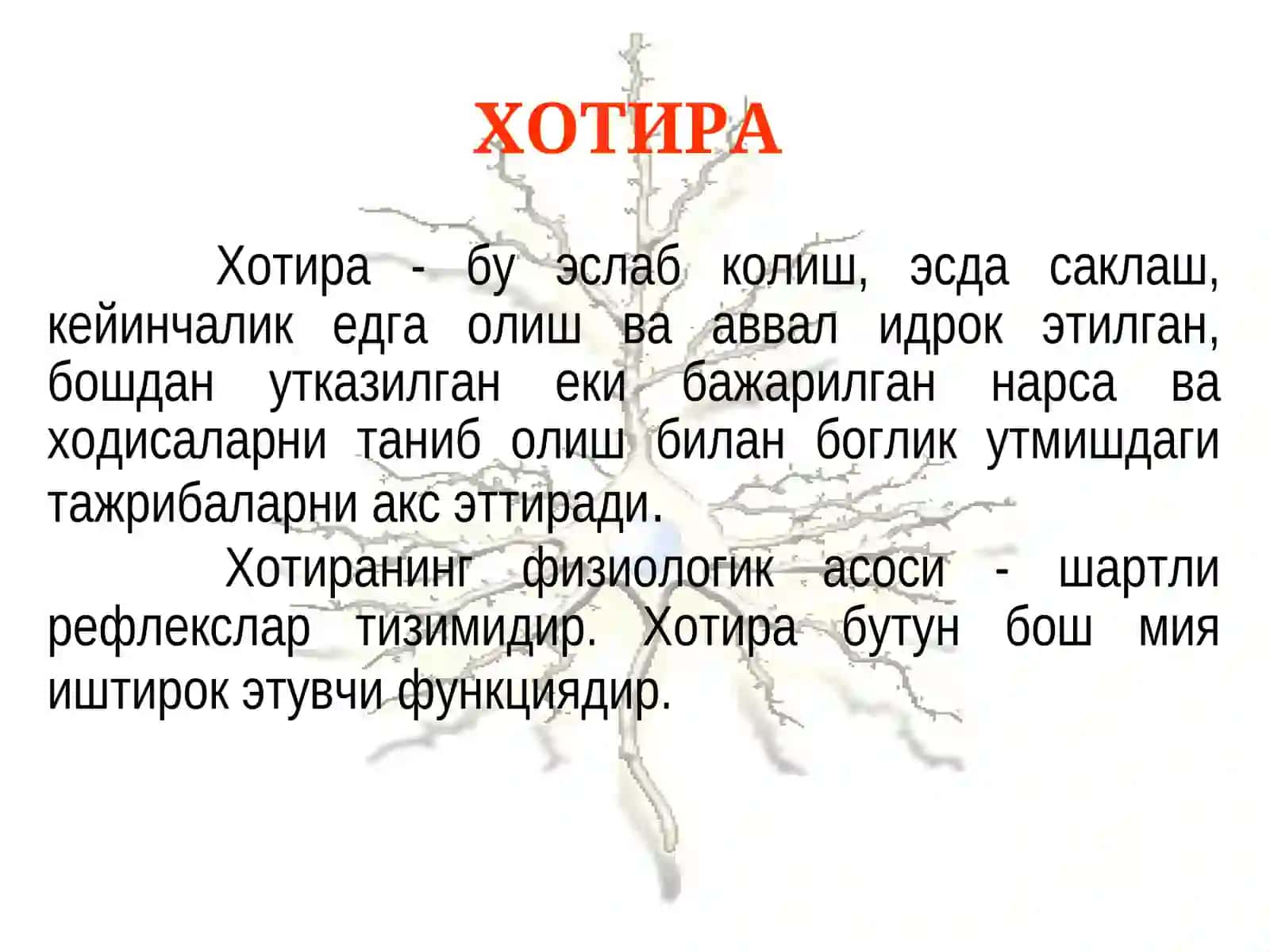 Психиатрия 2