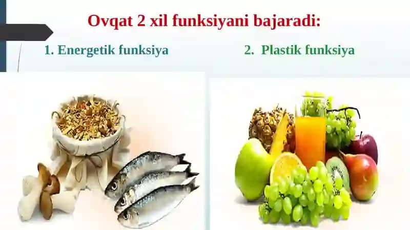 8-sinf Anatomiya 2