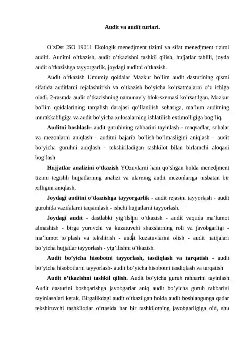Audit va audit turlari 2