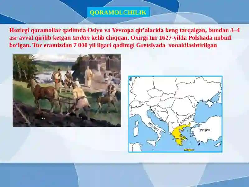 SUTEMIZUVCHILAR SINFIGA MANSUB CHORVA MOLLARI 2