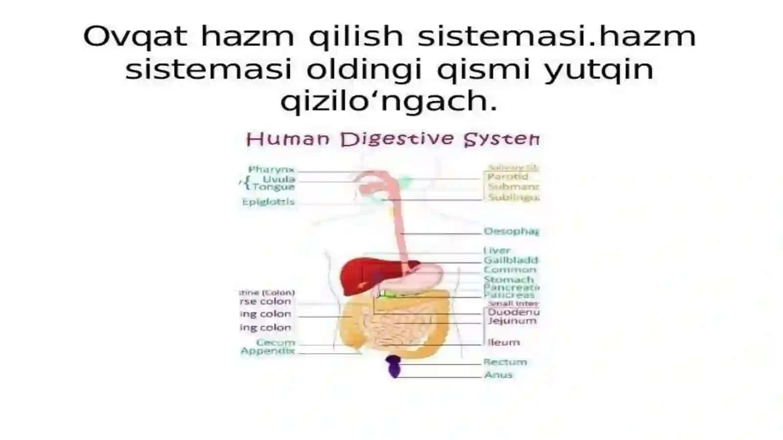 Ko'p tarmoqli tibbiyot texnikumi 2
