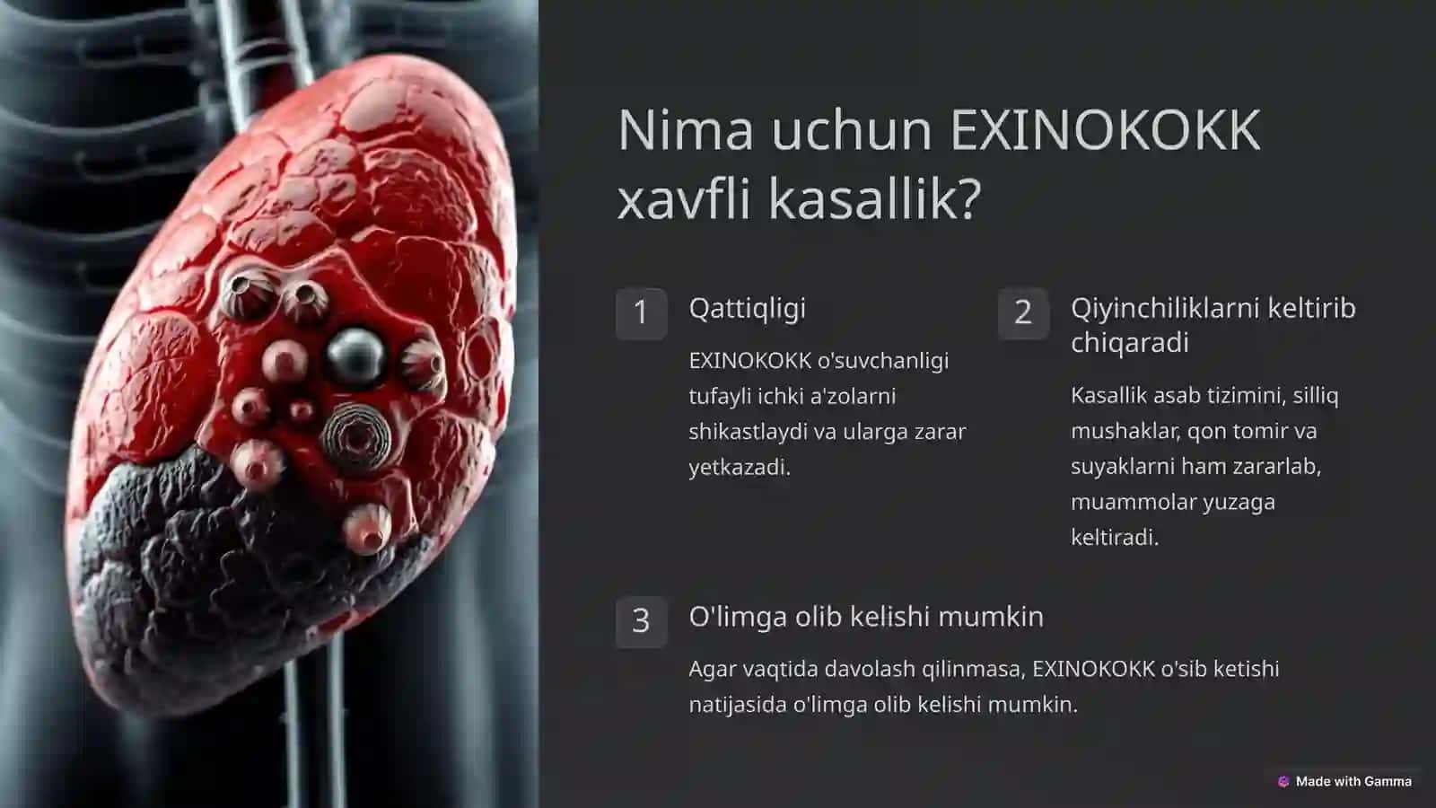 EXINOKOKK 2