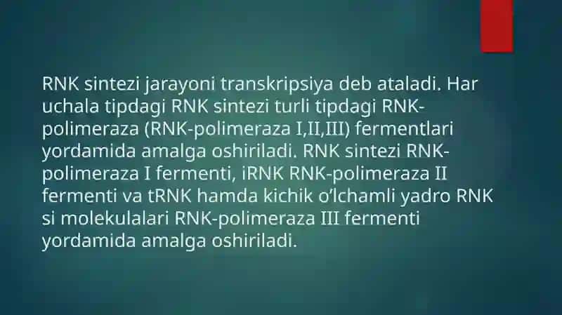 RNK turlari va uning oqsil biosintezidagi roli 2