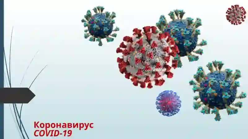 Новые медицинские термины,  появившиеся в эпоху COVID – 19 2