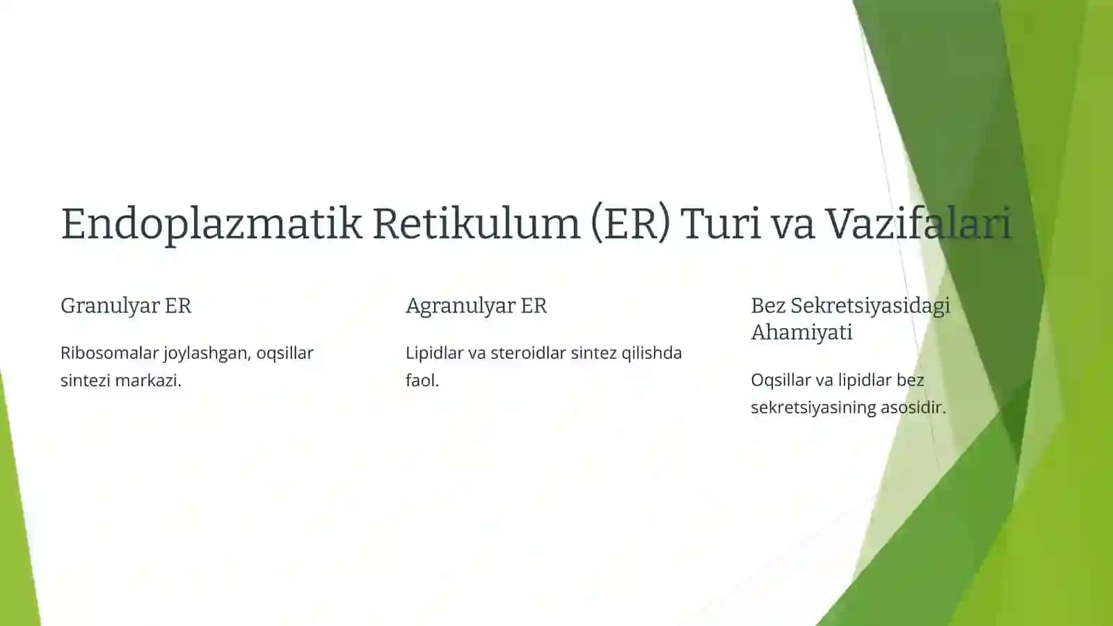 Bez Sekretsiyasining Ultrastrukturaviy Asoslari 2