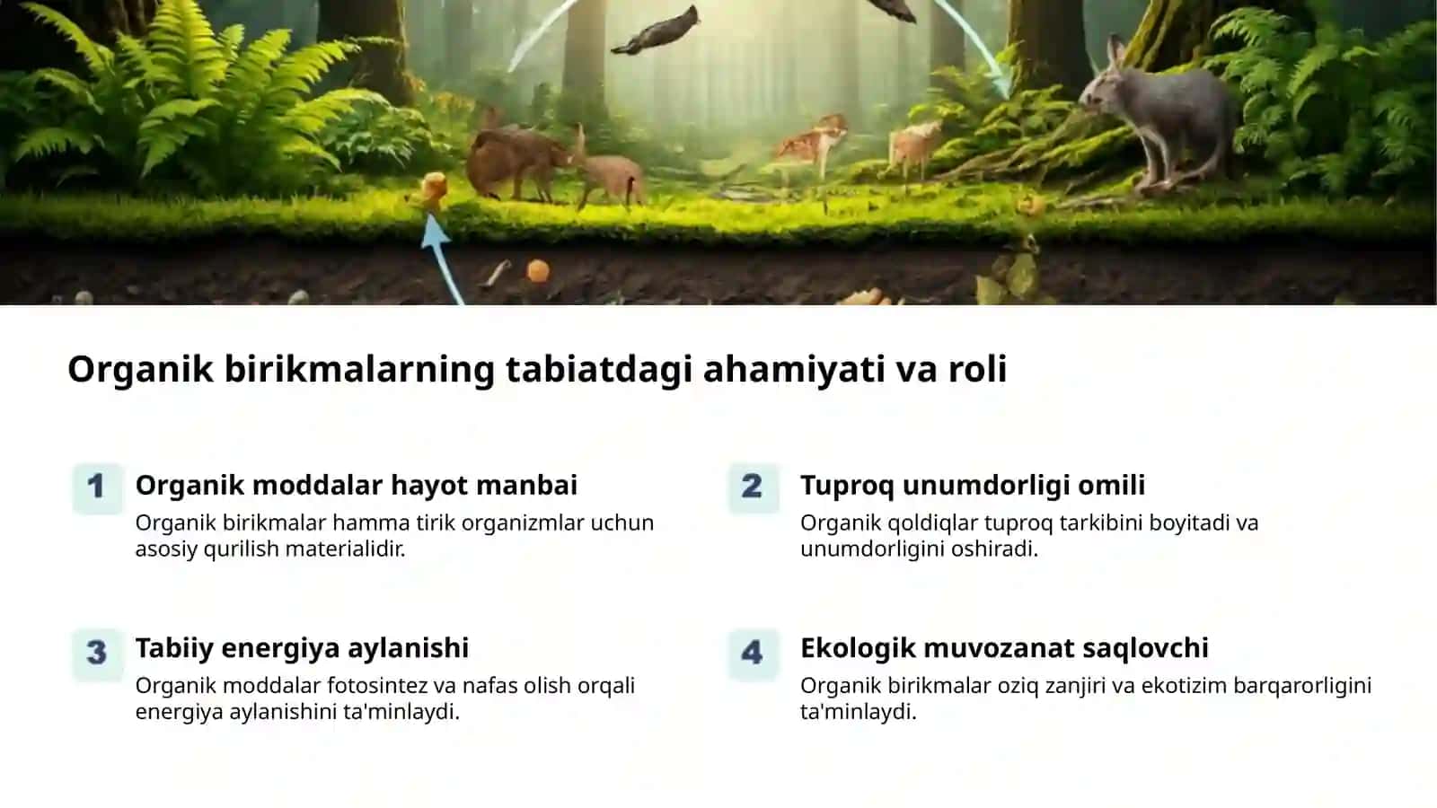 Organik kimyo: tarix va o'ziga xosliklar 2
