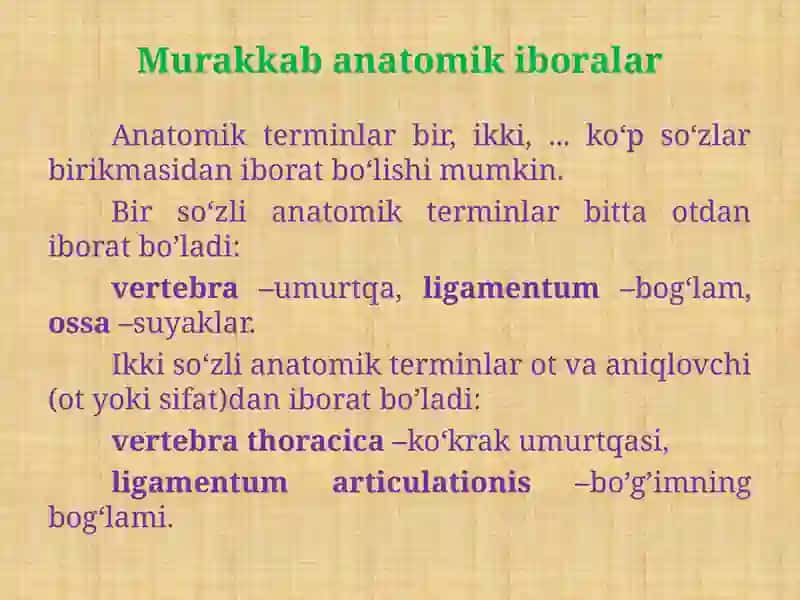 MOSLASHGAN VA MOSLASHMAGAN ANIQLOVCHI ISHTIROKIDA MURAKKAB ANOTOMIK TERMIN STRUKTURASI 2