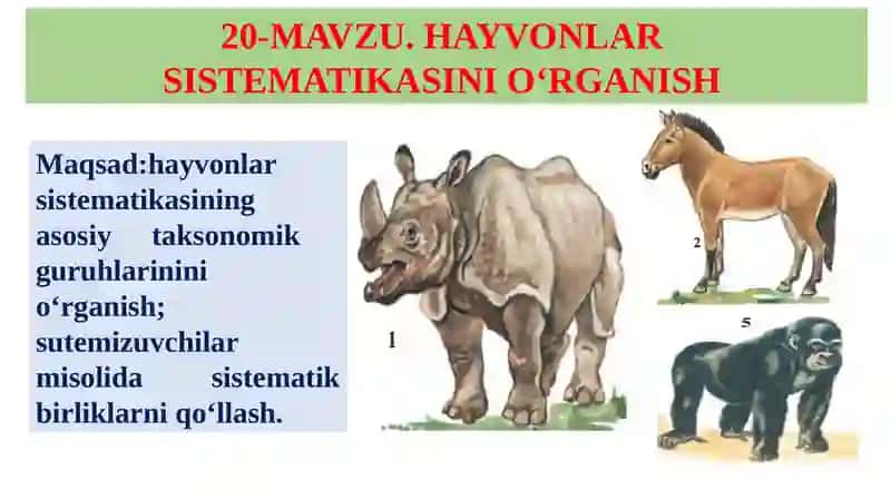 Hayvonlar Sistematikasini O‘rganish 2