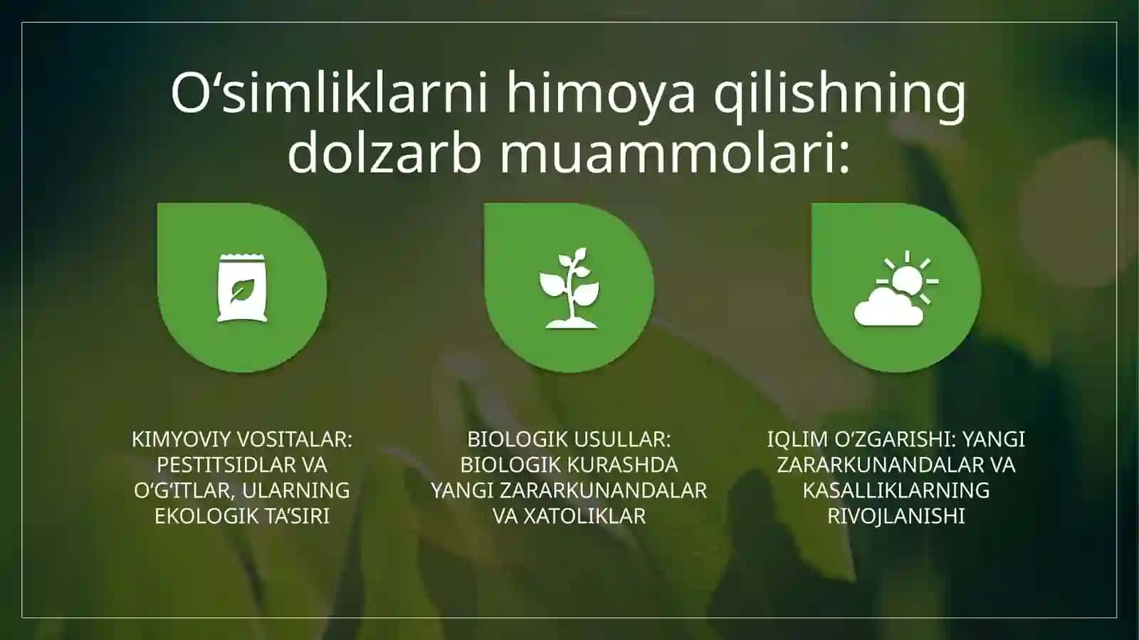 O‘simliklarni himoya qilish muammosi 2