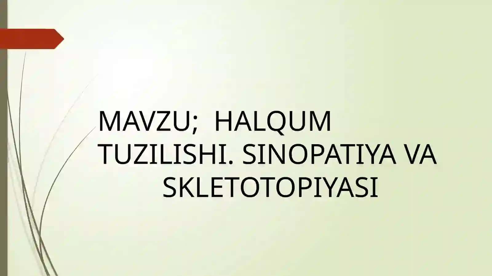 HALQUM TUZILISHI. SINOPATIYA VA SKLETOTOPIYASI 2