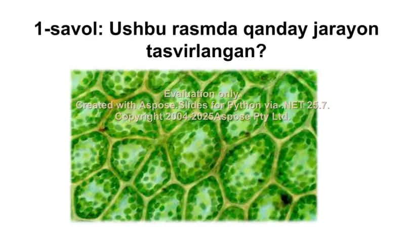 Tirik organizmlarda o`z-o`zini idora qilish organlari: gumoral va nerv sistemasi evolutsiyasi (2-dars) 2