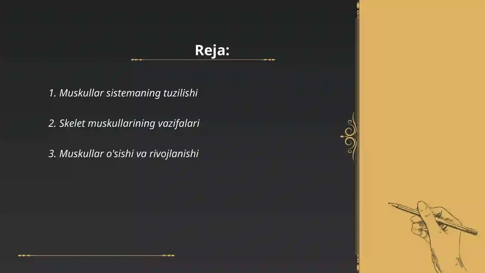 Muskullar sistemasi 2