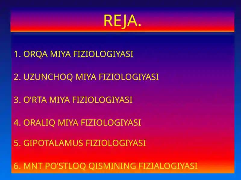 Markaziy asab tizimi fiziologiyasi 2