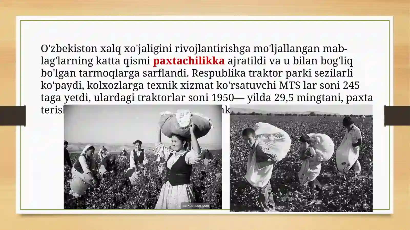 O'zbekistonda 50-70 yillarda paxta yakkahokimligining kuchayishi va ekologik muammolarning kelib chiqishi 2