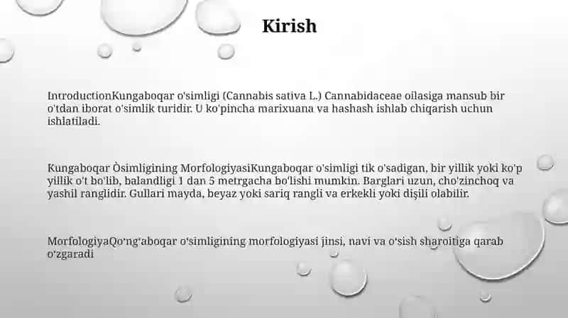 Kungaboqar Òsimligining Morfologiyasi 2