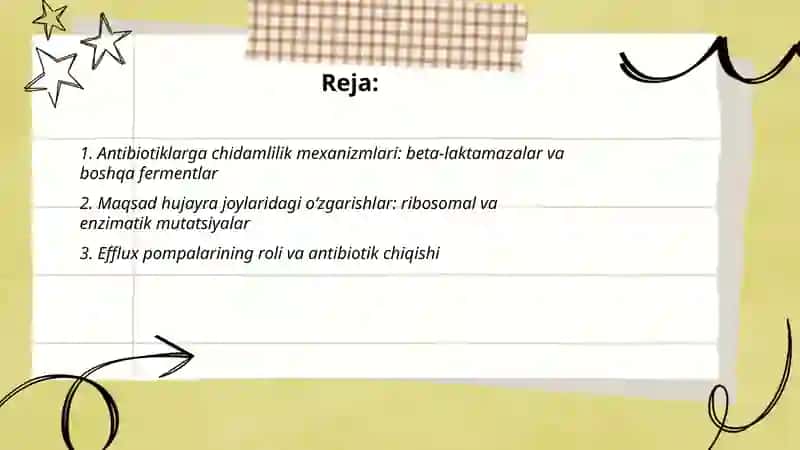Antibiotiklarga chidamlilik mexanizmlari 2