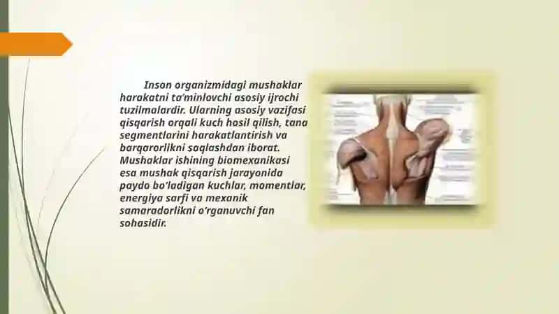 Mushaklar ishining biomexanikasi 2