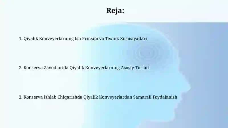 Qiyalik Konveyerlarning Ish Prinsipi va Texnik Xususiyatlari 2