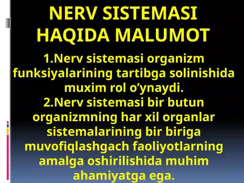 Nervsistemasi, Boshmiya 2